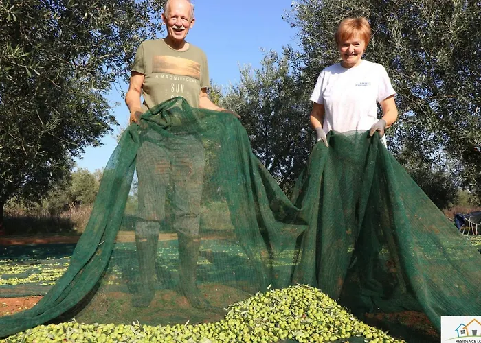 Melisa 5 By Interhome Vikendica Porec